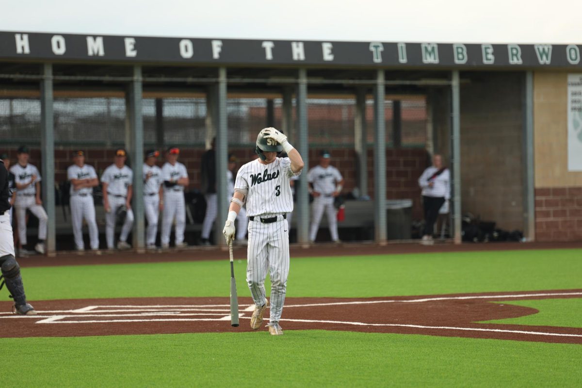 Bat in hand, sophomore Luke Hanahan plays in game against BVNW on May 6. 