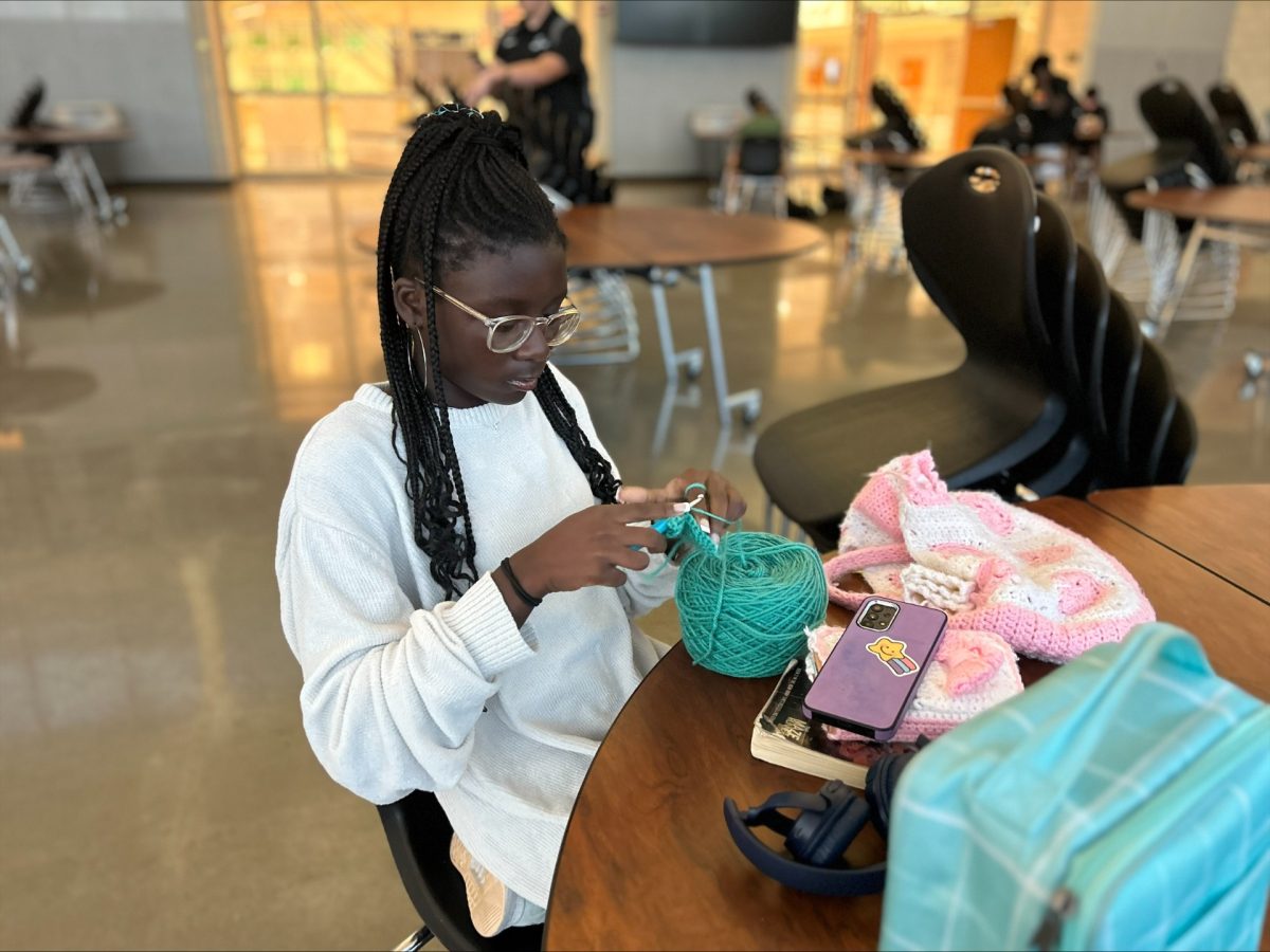 Sophomore Dara Onibonoje starts a business to sell crochet products