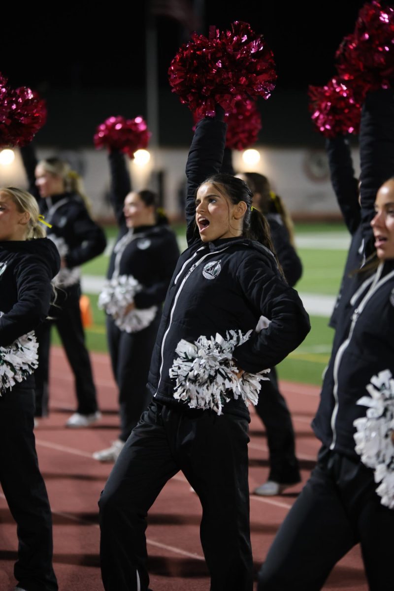 Senior Nicole Hohler cheers on the football team at their game in DeSoto on Oct. 18.